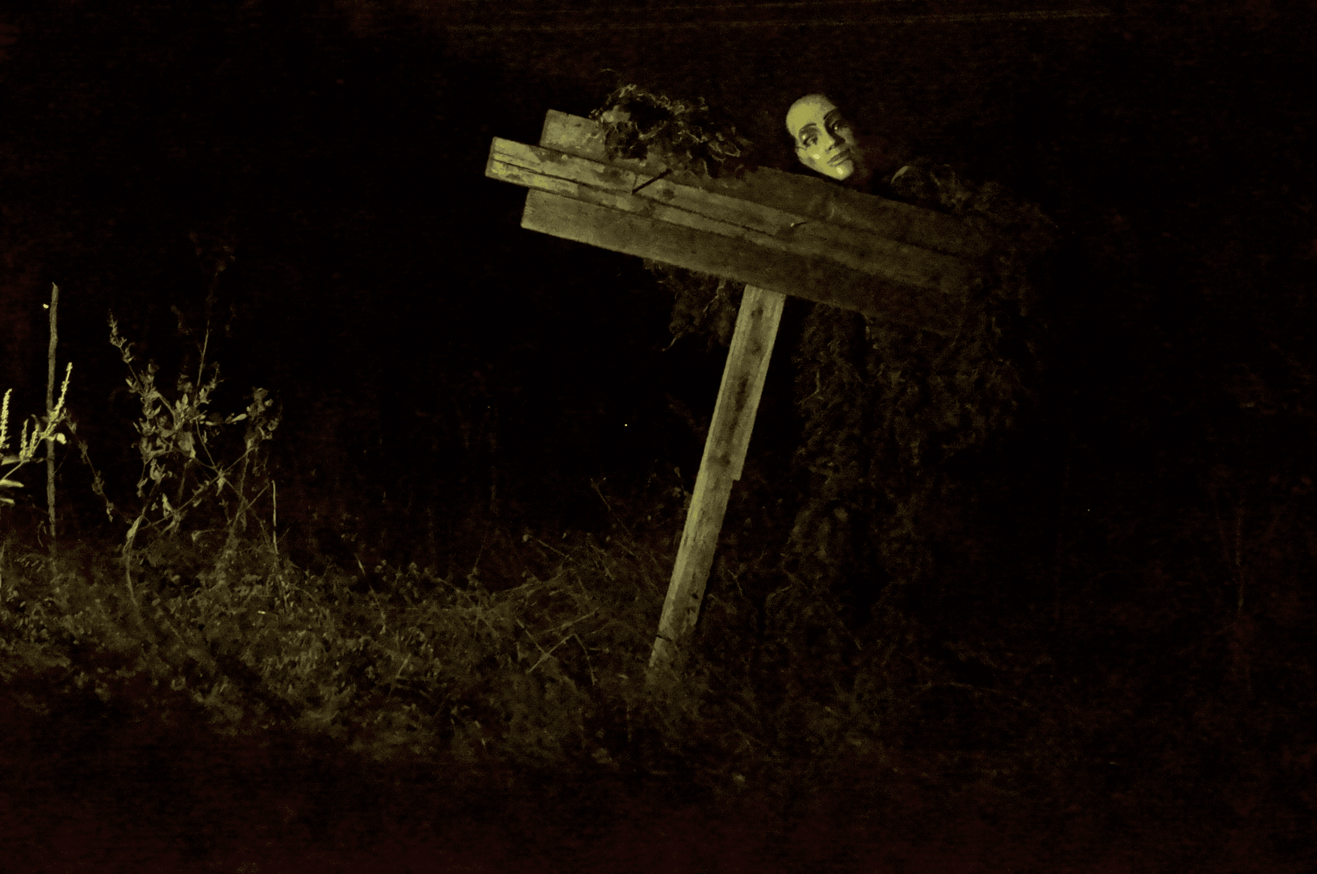 Haunted Shadows Lake Trail