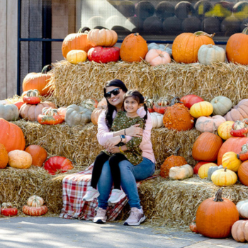 Woman and child sit on hay bales surrounded by pumpkins at a fall event in The Colony, Texas