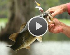 Lewisville Lake Video